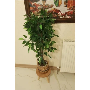 Tekli Ahşap Ayaklı Çiçeklik Saksılık Standı Dekoratif Yan Sehpa 24 cm Çap Atlantik Çam