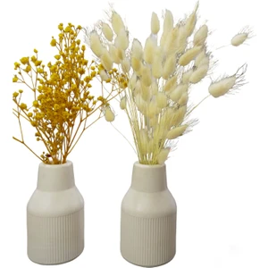 Daisy Style Pampas Vazosu, Iskandinav Dekoratif Beton Vazo Biblo 10CM Çok Şık 2'li Gönderim Pampas 2li