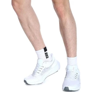 Air Zoom Pegasus 39 Erkek Koşu Ayakkabısı DH4071-100