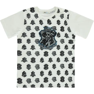 Harry Poter Erkek Çocuk Tişört 10-13 Yaş Ekru