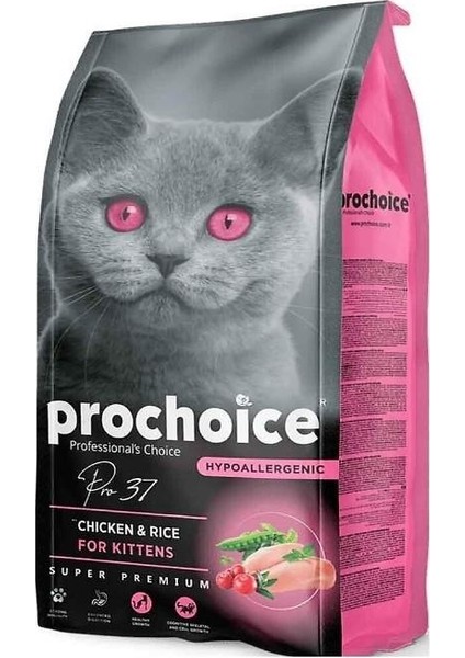 Prochoice PRO37 Kitten Chicken Tavuklu Yavru Kedi Maması 15 kg