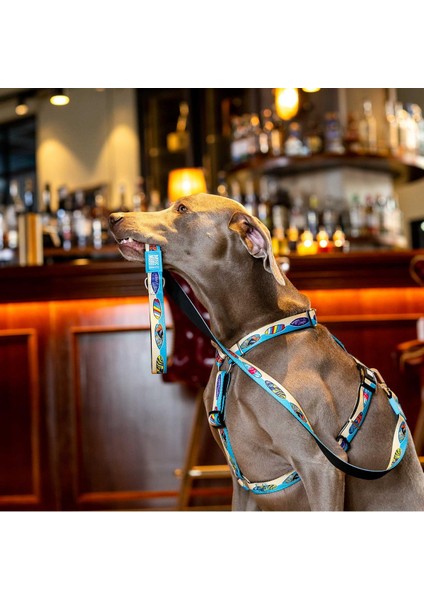 Aloha Köpek Gezdirme Kayışı