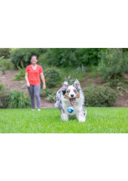 Chuckit! Sniff Fetch Jambon Kokulu Köpek Oyun Topu (Orta Boy)