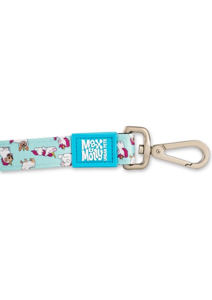 Unicorn Köpek Gezdirme Kayışı fiyatları