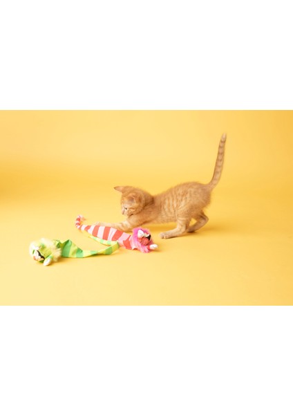 Tailchaser Kedi Otlu Kuyruklu Peluş Kedi Oyuncağı fırsatları