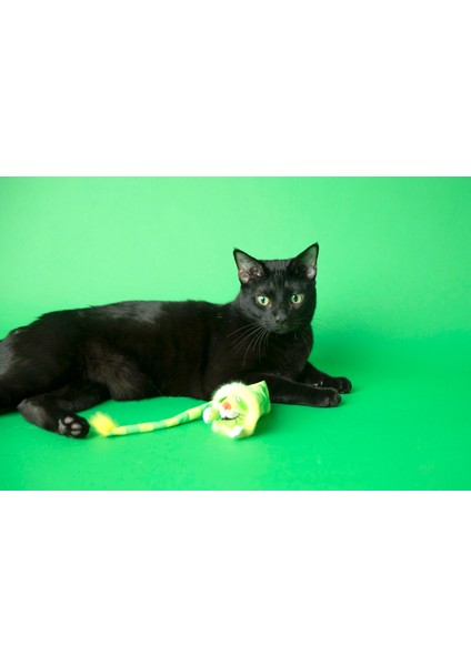 Tailchaser Kedi Otlu Kuyruklu Peluş Kedi Oyuncağı indirimleri