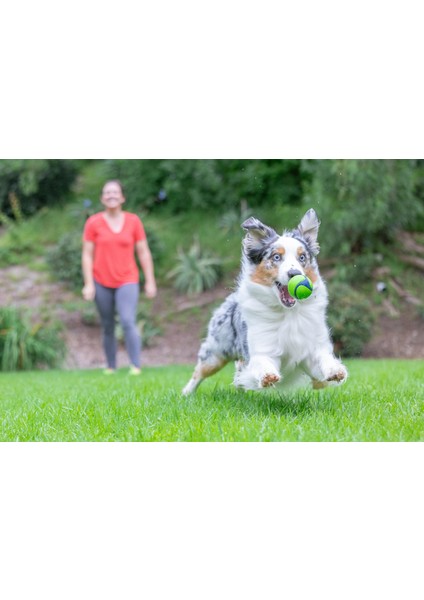 Chuckit! Sniff Fetch Fıstık Ezmesi Kokulu Köpek Oyun Topu (Orta Boy)