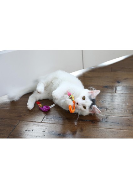Springy Worms Kedi Otlu 2'li Peluş Kedi Oyuncağı