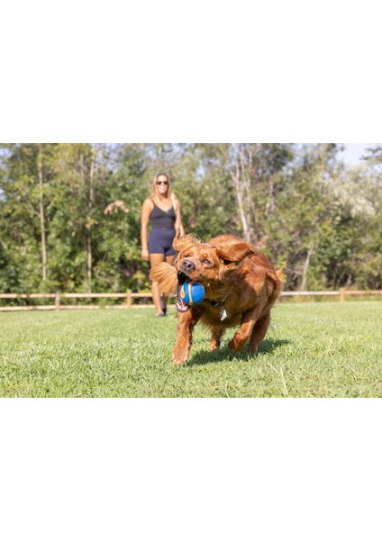 Chuckit! Ultra Squeaker Sesli Köpek Oyun Topu (Xl Boy) indirimleri