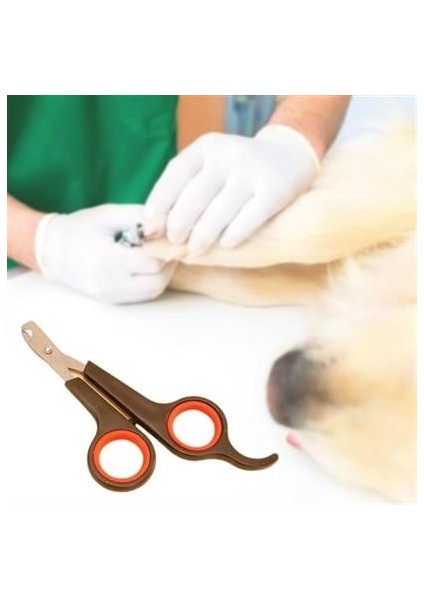 Pet Miyav® Küçük Çelik Uçlu Kedi Köpek Evcil Hayvan Tırn