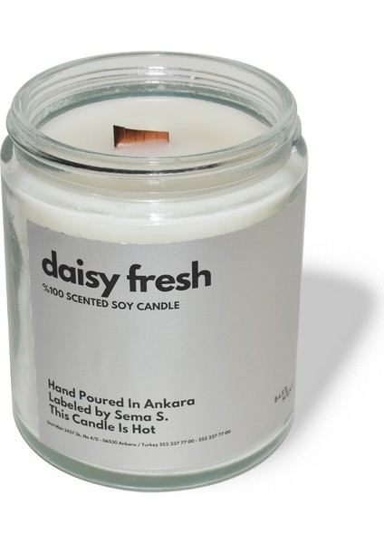 : Kokulu Soya Mum : 400 gr : Daisy Fresh fiyatları