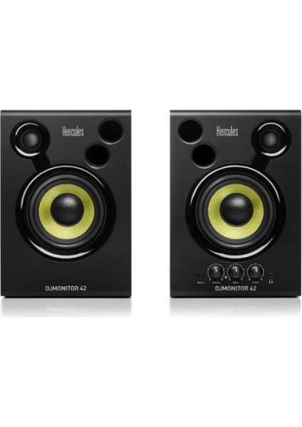 Dj Monitor 42