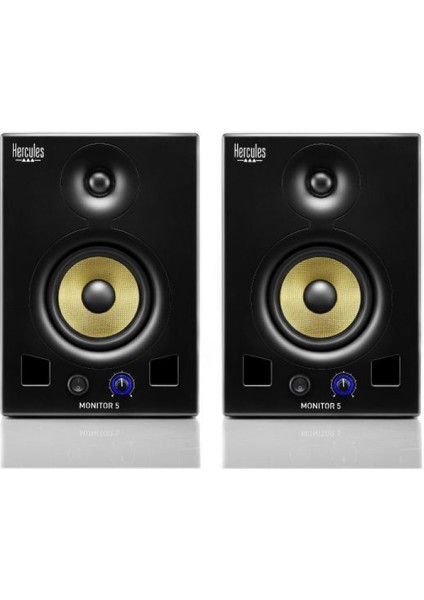 Dj Monitor 5