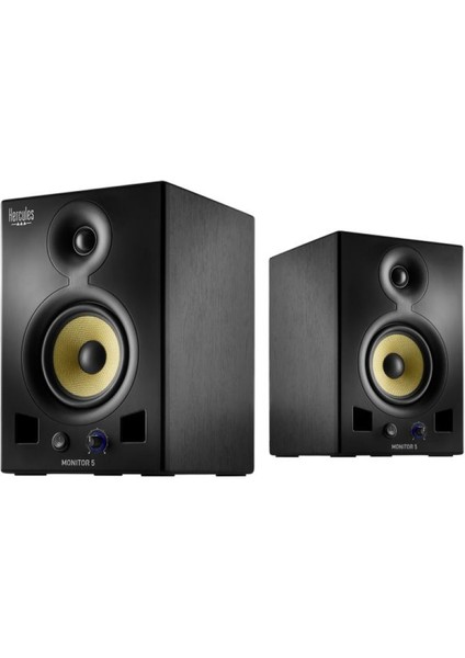 Dj Monitor 5