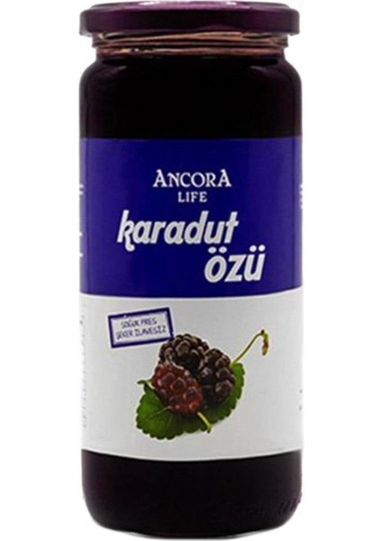 Karadut Özü 640 gr
