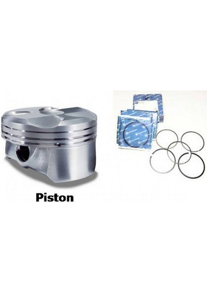 Motor Piston Segman Std Caddy-Ibiza-Transporter T4 2.4 24 Pim 79.51 Aab-Aas-Aef-Aaj-Adg-Bgg Cyl 102008