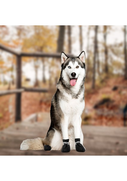 Köpek Ayakkabısı Yumuşak Kaydırmaz Su Geçirmez Taban Kapalı ve Açık Yürüyüş, Koşu, Eğitim Ayakkabısı