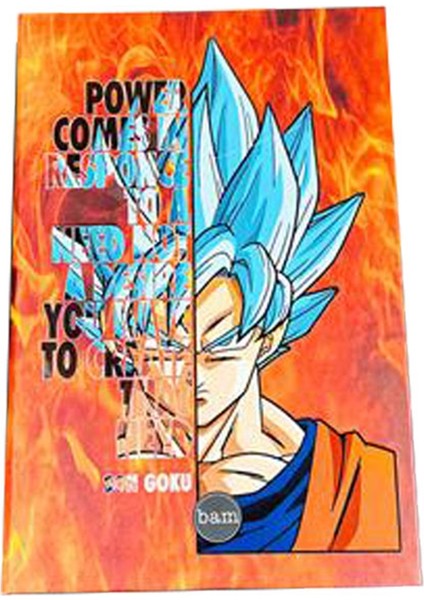 Lastikli Defter Sert Kapak Çizgisiz 160YP-SON Goku