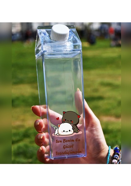 Dudu Bubu Ayıcık Sevgili Çift Baskılı Mika Süt Kutu Tasarımlı Su Kahve Şişesi -Cam Değildir- 500 ml fiyatları
