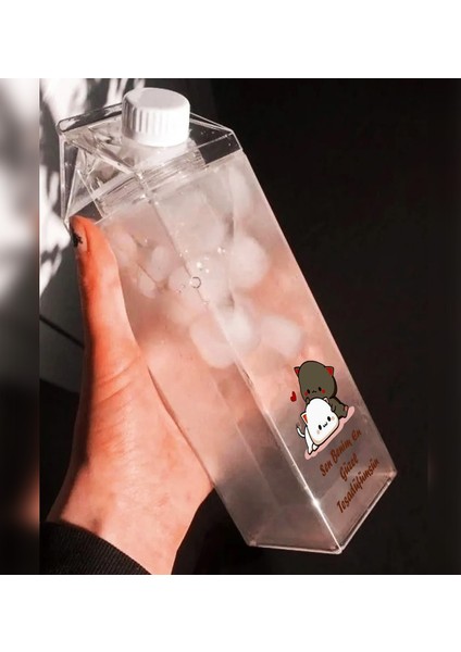 Dudu Bubu Ayıcık Sevgili Çift Baskılı Mika Süt Kutu Tasarımlı Su Kahve Şişesi -Cam Değildir- 500 ml modelleri