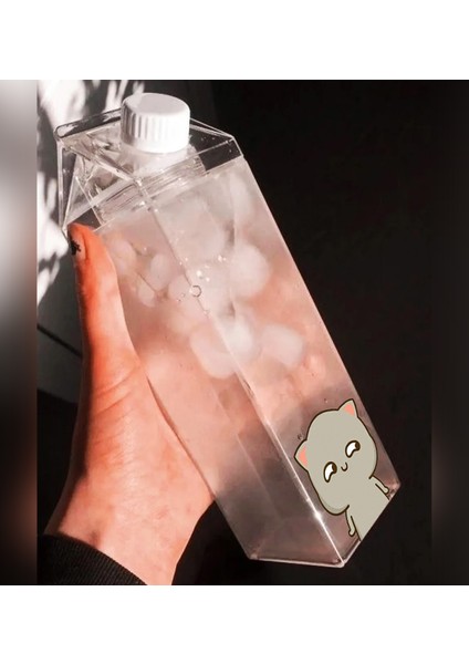 Dudu Bubu Ayıcık Sevgili Çift Baskılı Mika Süt Kutu Tasarımlı Su Kahve Şişesi Ikili Set -Cam Değildir- 500 ml modelleri