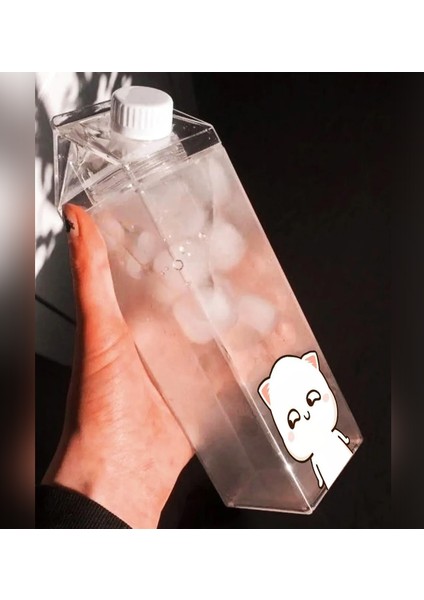 Dudu Bubu Ayıcık Sevgili Çift Baskılı Mika Süt Kutu Tasarımlı Su Kahve Şişesi Ikili Set -Cam Değildir- 500 ml fırsatları