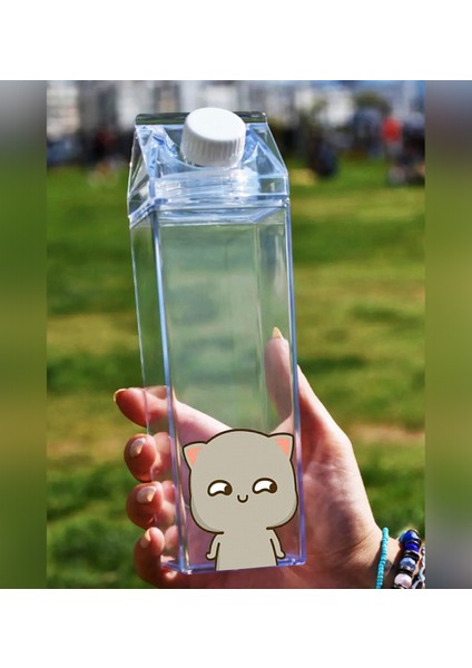 Dudu Bubu Ayıcık Sevgili Çift Baskılı Mika Süt Kutu Tasarımlı Su Kahve Şişesi Ikili Set -Cam Değildir- 500 ml indirimleri