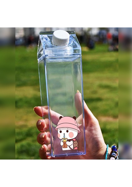 Dudu Bubu Ayıcık Sevgili Çift Baskılı Mika Süt Kutu Tasarımlı Su Kahve Şişesi Ikili Set -Cam Değildir- 500 ml fiyatları