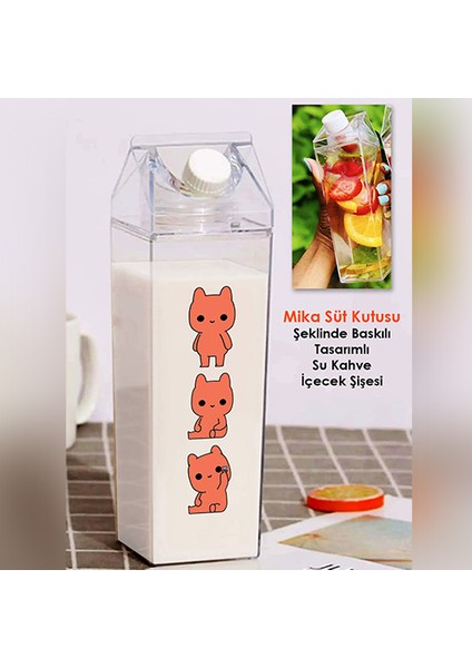 Evie Kinie Ayıcık Sevgili Çift Baskılı Mika Süt Kutu Tasarımlı Su Kahve Şişesi -Cam Değildir- 500 ml