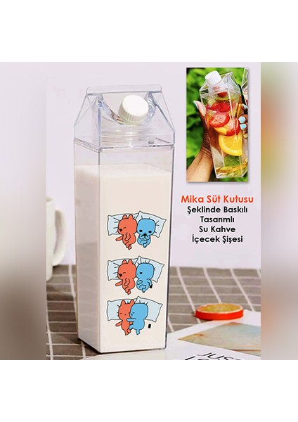 Evie Kinie Ayıcık Sevgili Çift Baskılı Mika Süt Kutu Tasarımlı Su Kahve Şişesi -Cam Değildir- 500 ml fiyatları