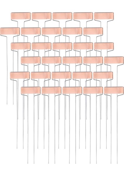 30 Paket 10 Inç Bakır Plaka Metal Fabrikası Etiketleri Bahçe Etiketleri Yeniden Kullanılabilir (Yurt Dışından)