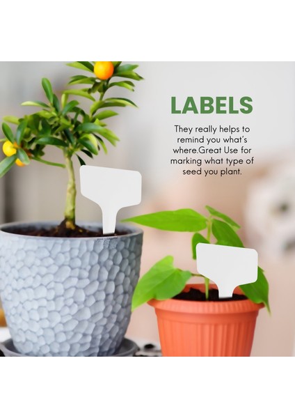 100 Adet Bahçe Etiketleri Bahçe Tesisi Sınıflandırma Plastik Beyaz (Yurt Dışından) fiyatları