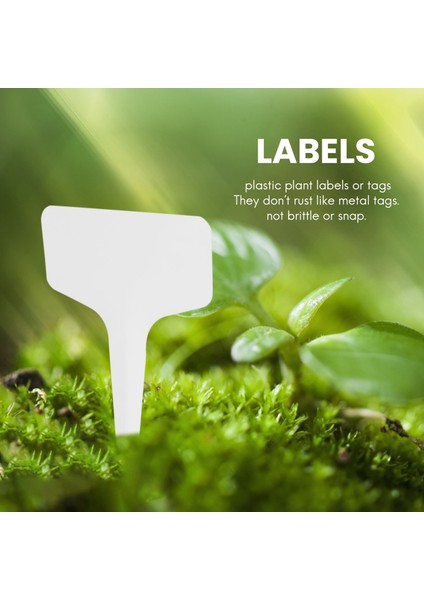 100 Adet Bahçe Etiketleri Bahçe Tesisi Sınıflandırma Plastik Beyaz (Yurt Dışından) modelleri