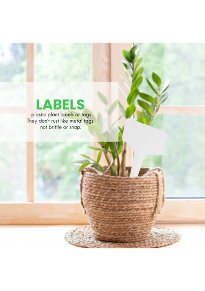 100 Adet Bahçe Etiketleri Bahçe Tesisi Sınıflandırma Plastik Beyaz (Yurt Dışından) fırsatları