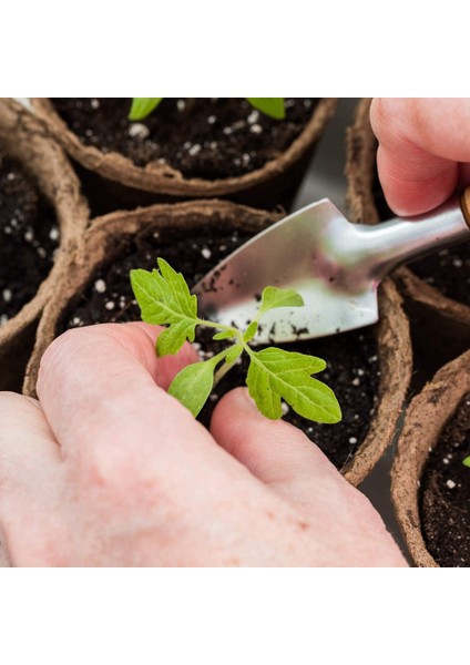 Bonus 20 Bitki Etiketli 30 Adet 3 Inç Biyolojik Olarak Parçalanabilir Bitki Saksıları (Yurt Dışından) fırsatları