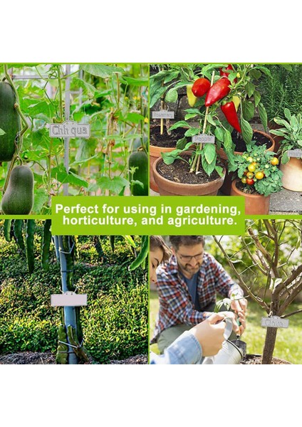 50PCS Alüminyum Bitki Etiketleri Ağacı Çift Taraflı Etiketler (Yurt Dışından) fırsatları