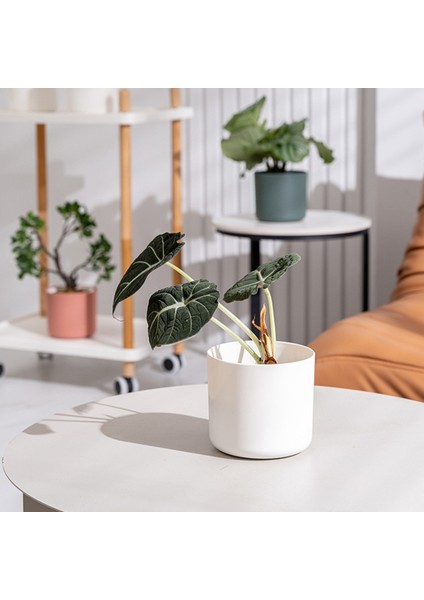 Pcs Plastik Ekici Iskandinav Tarzı Mini Çiçek Fideleri Fide Saksısı (Yurt Dışından) modelleri