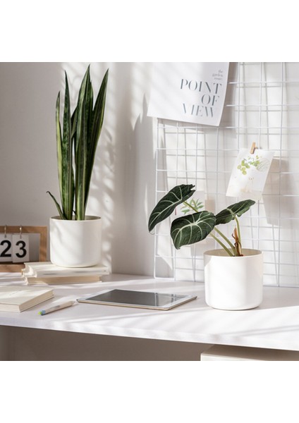 Pcs Plastik Ekici Iskandinav Tarzı Mini Çiçek Fideleri Fide Saksısı (Yurt Dışından) fırsatları