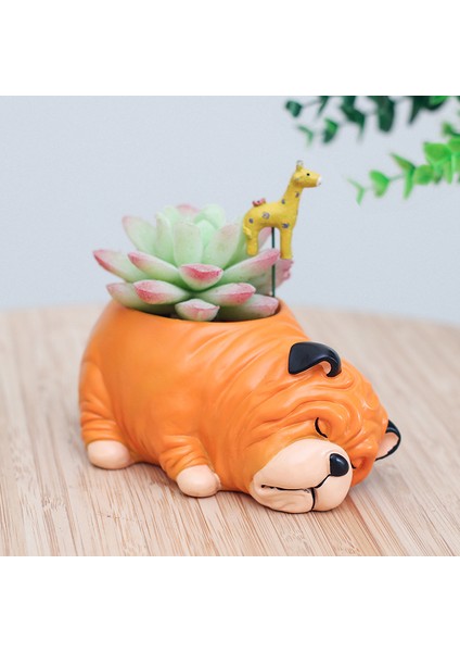 Adet Reçine Karikatür Köpek Etli Kaktüs Ekici Pot, Bir (Yurt Dışından) fiyatları