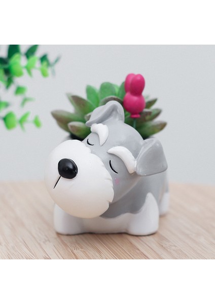 Adet Reçine Karikatür Köpek Etli Kaktüs Ekici Pot, Bir (Yurt Dışından) fırsatları