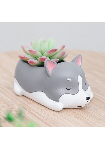 Adet Reçine Karikatür Köpek Etli Kaktüs Ekici Pot, Bir (Yurt Dışından) indirimleri