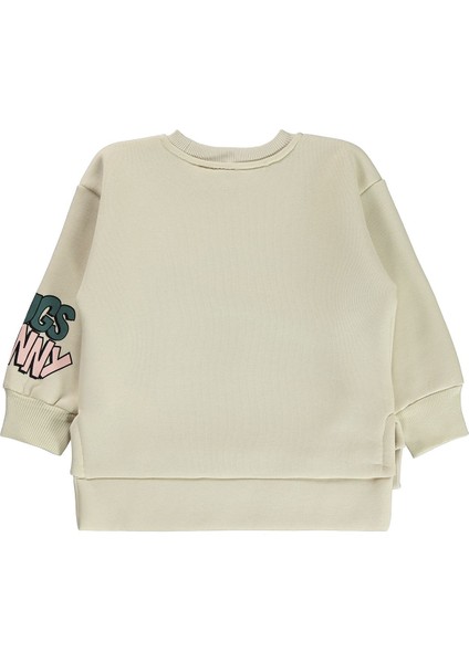 Kız Çocuk Sweatshirt 2-5 Yaş Tebeşir fiyatları