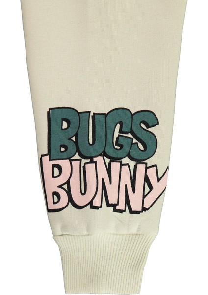 Kız Çocuk Sweatshirt 2-5 Yaş Tebeşir modelleri