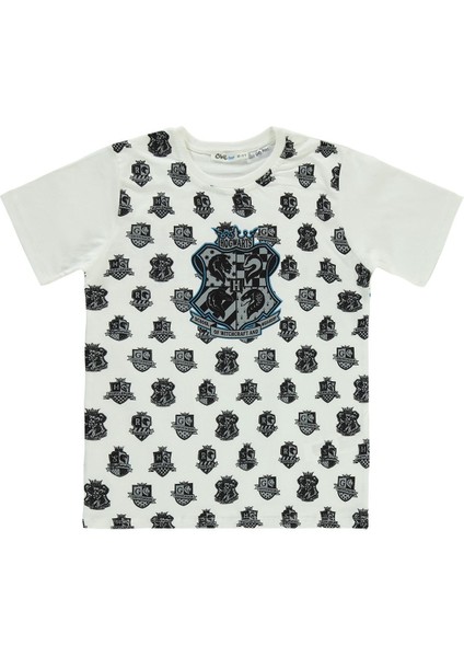 Harry Poter Erkek Çocuk Tişört 10-13 Yaş Ekru