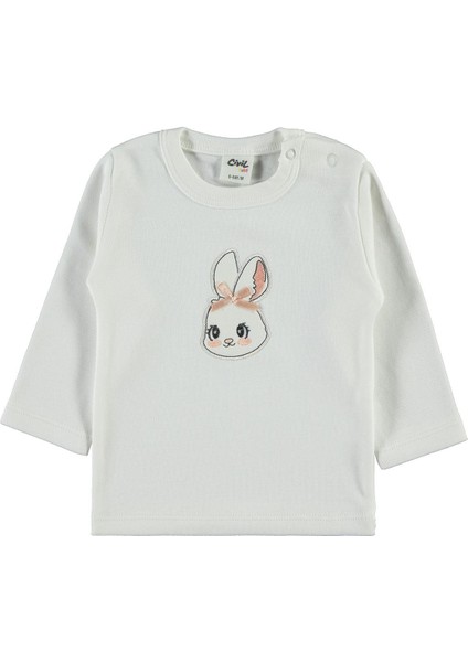 Kız Bebek 3'lü Takım 6-18 Ay Pudra modelleri