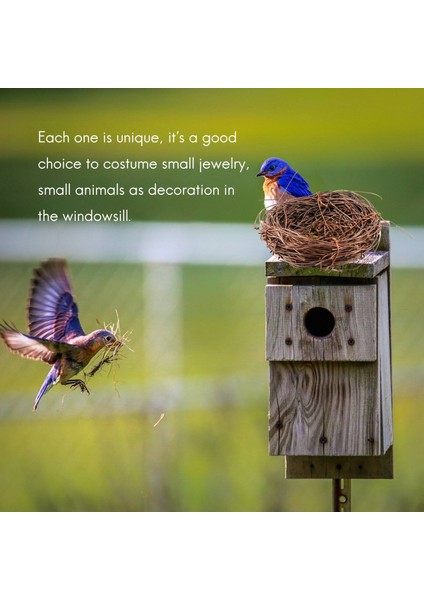 El Yapımı Asma Dal Kuş Yuvası Fotoğraf Bahçe Dekoru Için Ev Doğa Zanaat (Yurt Dışından) modelleri