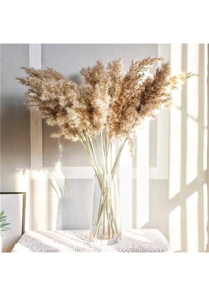 Doğal Gerçek Kurutulmuş Pampas Çim Buketi Kabarık Tüy Düğün Çiçeği (Yurt Dışından) modelleri