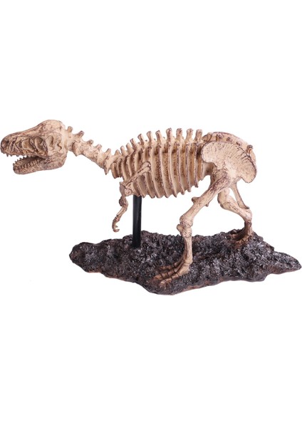 Tyrannosaurus Rex Heykeli Simüle El Sanatları (Yurt Dışından) modelleri