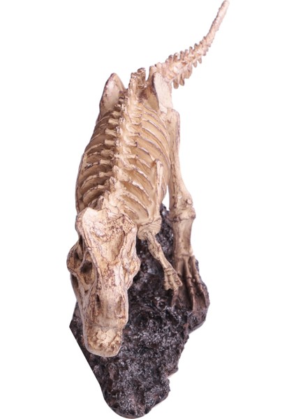 Tyrannosaurus Rex Heykeli Simüle El Sanatları (Yurt Dışından) indirimleri