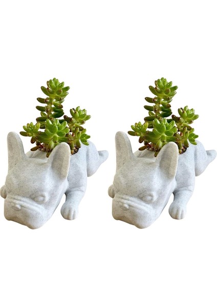 Bulldog Şekli Reçine Etli Ekici Mini Yavru Yavru Bitkiler Ekici (Yurt Dışından) fiyatları